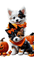 loly33 chien automne - gratis png