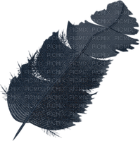 deco-plume - PNG gratuit