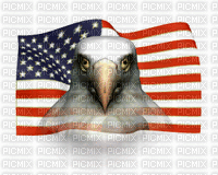 USA Flag-76713 - Gratis geanimeerde GIF