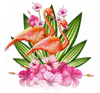 soave  tropical bird  summer pink green orange - 無料png