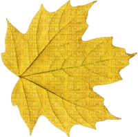 autumn leaf Bb2 - ilmainen png