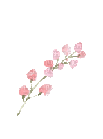 Fleur.flower.Pink.Printemps.Spring.Victoriabea - GIF animé gratuit