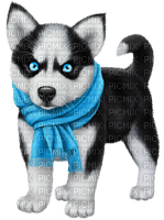 Dog Puppy Chien Husky - Free PNG