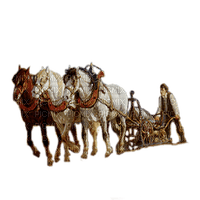 caballos hombre campo dubravka4 - Free PNG