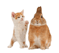 rabbit and cat by nataliplus - 免费PNG