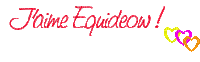 equideow - 免费动画 GIF