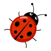 ladybug - zadarmo png