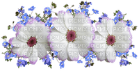 kukka fleur flower - безплатен png