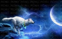 Kaz_Creations Animals Wolves - gratis png