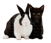rabbit and cat by nataliplus - ücretsiz png