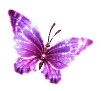 Y.A.M._Fantasy butterfly purple - GIF animé gratuit