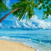 summer été beach fond loly33 - 免费PNG