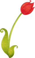 tulipanok - бесплатно png