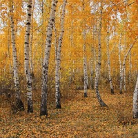 Осенний пейзаж - gratis png