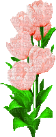 fle fleur - GIF animé gratuit