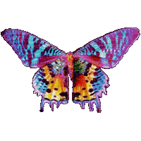 Schmetterling/Butterfly - Ilmainen animoitu GIF
