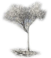 chantalmi  hiver winter neige snow noël déco arbre givre trees - PNG gratuit