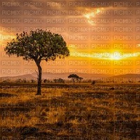 African background sunshine3 - gratis png