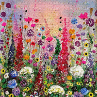 soave background animated spring  flowers rainbow - Ingyenes animált GIF