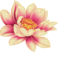 Lotus - 免费PNG