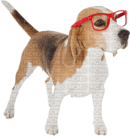 Kaz_Creations Dog Pup Dogs 🐶 - δωρεάν png