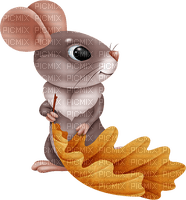 Mouse Leaf - Bogusia - png gratuito