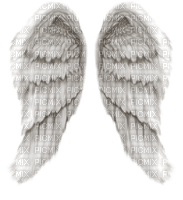 ailes d'anges - Free PNG