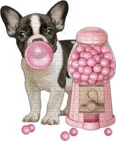 dog bubblegum candy pink - ücretsiz png