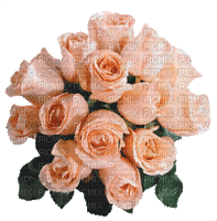 ruže - Bezmaksas animēts GIF