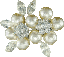 Jewel, Jewels, Jewelry, Deco, Decoration, Diamond, Diamonds, Pearl, Pearls, Flower, Flowers, White - Jitter.Bug.Girl - Free animated GIF