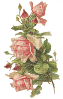 déco rose/clody - Free PNG