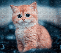 cat schlappi50 - Ücretsiz animasyonlu GIF