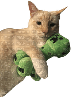 minecraft cat - png grátis