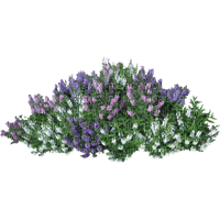 Kaz_Creations Bush Flowers - δωρεάν png