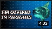 i'm covered in parasites - 免费PNG