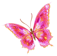 Butterfly.Pink.Yellow.Orange - PNG gratuit
