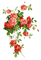 soave deco flowers rose vintage branch animated - Δωρεάν κινούμενο GIF