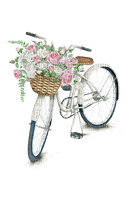 Bicycle  Bb2 - zadarmo png