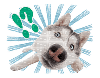 the dog line sticker interrobang - png gratis
