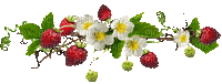 strawberry bp - Gratis animeret GIF