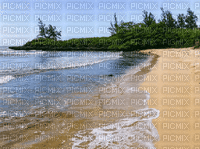 Plage.Beach.Mer.Landscape.Victoriabea - GIF animé gratuit