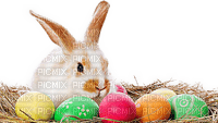 Pâques.Easter.Bunny.Pascua.Lapin.Rabbit.Conejo.Eggs.Oeufs.Victoriabea