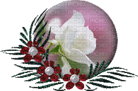 perle roses - Gratis animerad GIF