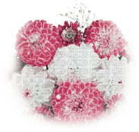 soave deco flowers  Chrysanthemums pink white - besplatni png