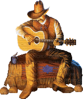 Mann, Cowboy, Gitarre