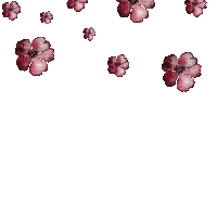 falling flowers - GIF animado gratis