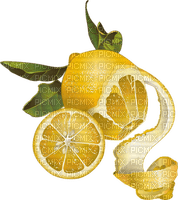 lemons citron sunshine3