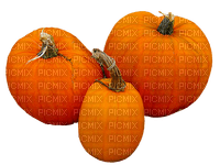 pumpkins halloween pumpkin orange kikkapink - png grátis