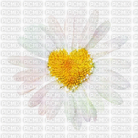 Daisy Flower - GIF เคลื่อนไหวฟรี