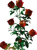 multicolore image encre animé effet scintillant barre briller fleurs roses coin brille spring printemps edited by me - GIF เคลื่อนไหวฟรี